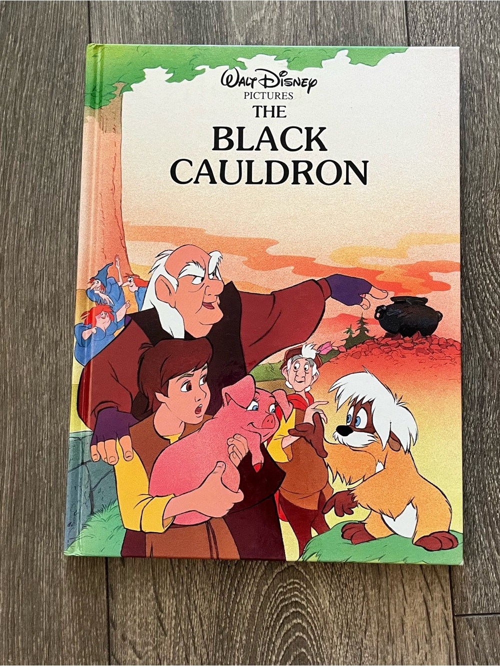 2/$25 Walt Disney Pictures The Black Cauldron